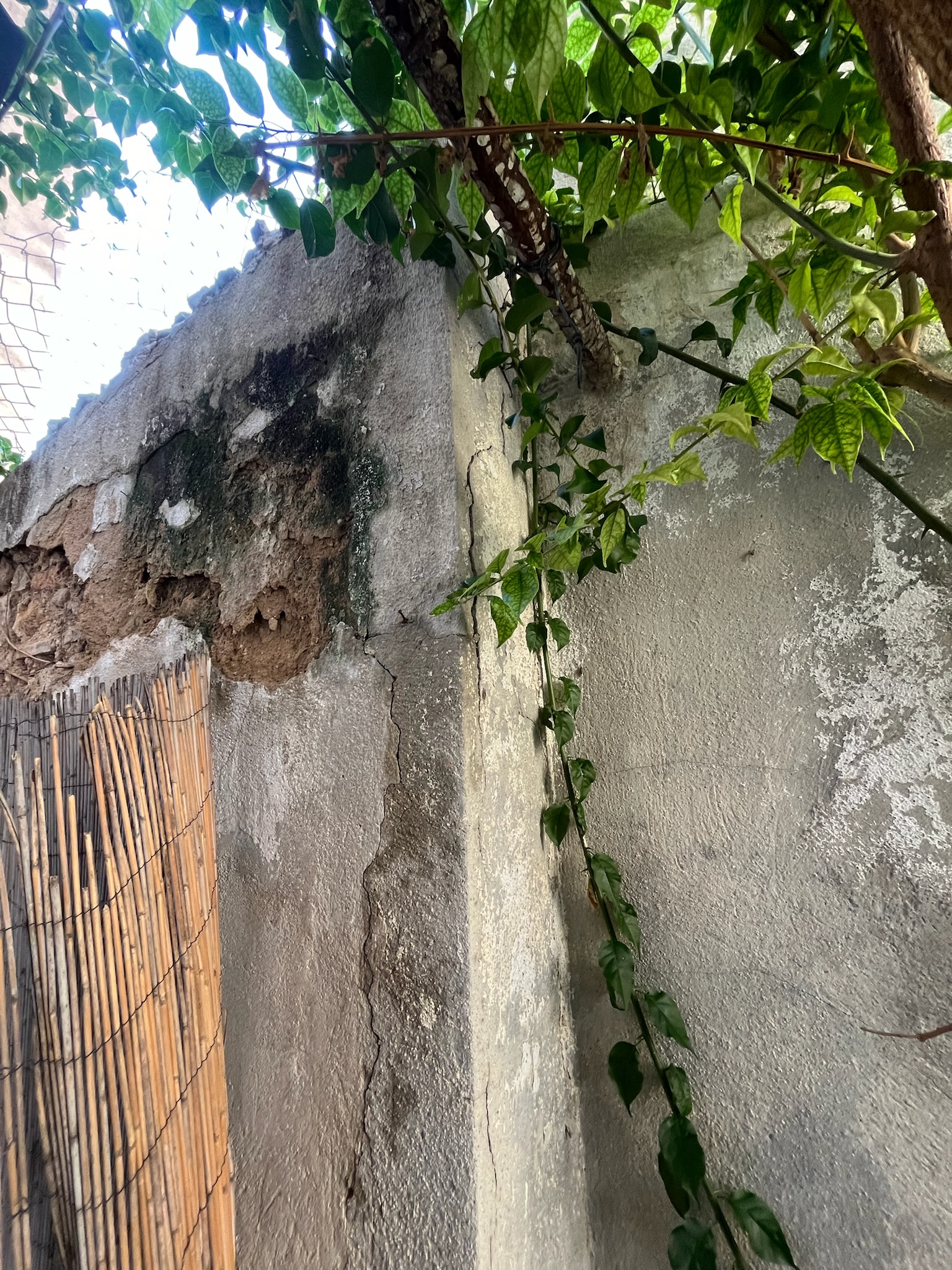 Chantier Dherbey - Photo 14